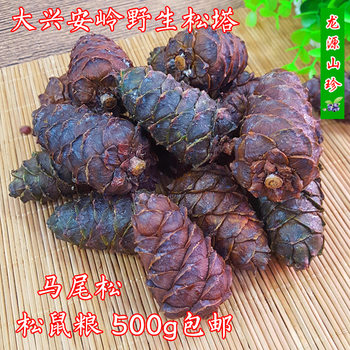 Pine Tower squirrel food Daxinganling wild original flavor masson pine Tower nut 500g free shipping