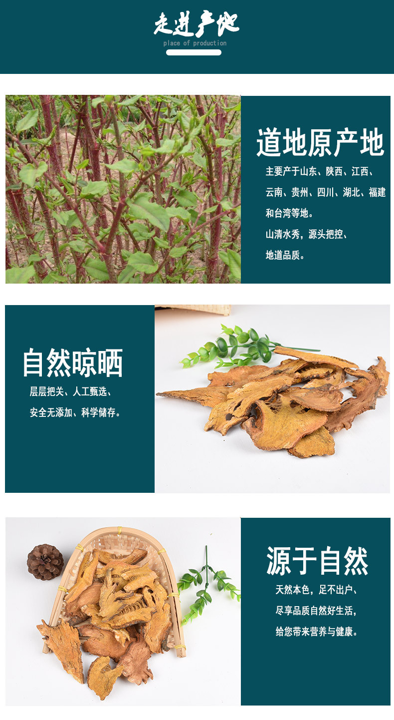 Wholesale and Spot Sale of Japanese Knotweed, Chinese Medicinal Materials  Wholesale and Retail, Clean and Sifted, No Impurities, No Sulfur, One Piece  Dropshipping | MoveOn | Connecting Cross-Border Trade