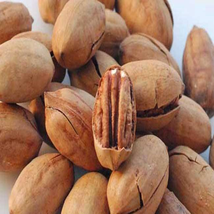 [Pecan Nuts Wholesale by the Box]Large Quantity of Longevity Nuts, Pecans, Bulk Creamy Flavor, Large Kernels