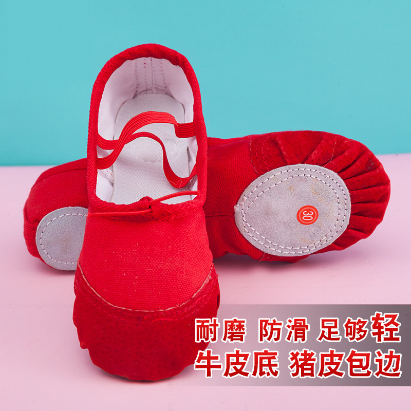 Children's Dance Shoes Soft Sole Summer and Autumn Ballet Shoes Adult Practice Dance Shoes Dance Shoes Yoga Shoes Cat Claw Shoes Women