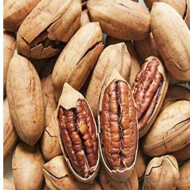 [Pecan Nuts Wholesale by the Box]Large Quantity of Longevity Nuts, Pecans, Bulk Creamy Flavor, Large Kernels