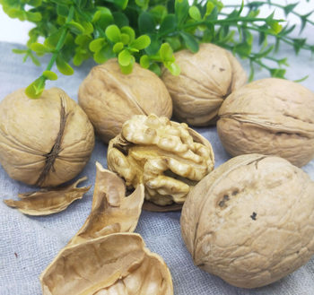 Manufacturer Batch of Paper-skinned Walnuts, Dried Fruits, Nut Snacks, Snacks, Drop Shipping, Free Shipping