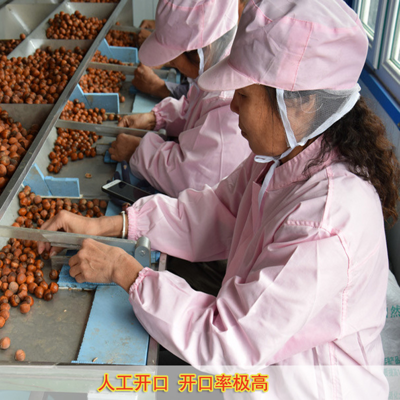 Baishi Zhen love Northeast hazelnut open cooked large new original flavor canned 220g nuts wholesale flat European Big Hazelnut