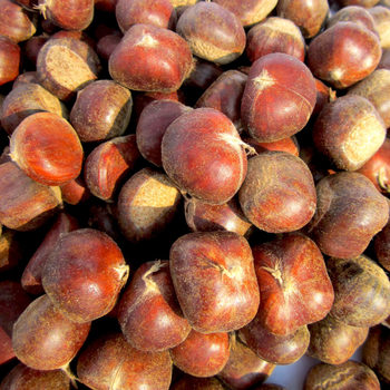 Li Nong's Ready-made Fresh Yanshan Jade Chestnuts Raw Chestnuts Fresh Chestnuts Raw Chestnuts