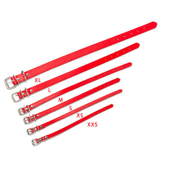 Factory direct PU leather pet collar spot multi-color size dog rope leash pet Belt spot wholesale