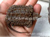Live Crocodile Turtle Spot Supply Crocodile Turtle Seedlings Crocodile Seedlings Seedlings Wholesale High Survival Rate Wholesale