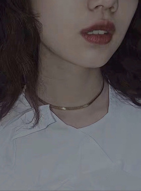 欧美INS风蛇骨镀金钛钢颈链