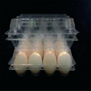 Direct Supply high buckle New pigeon egg tray PVC transparent plastic box poultry egg packaging disposable tray