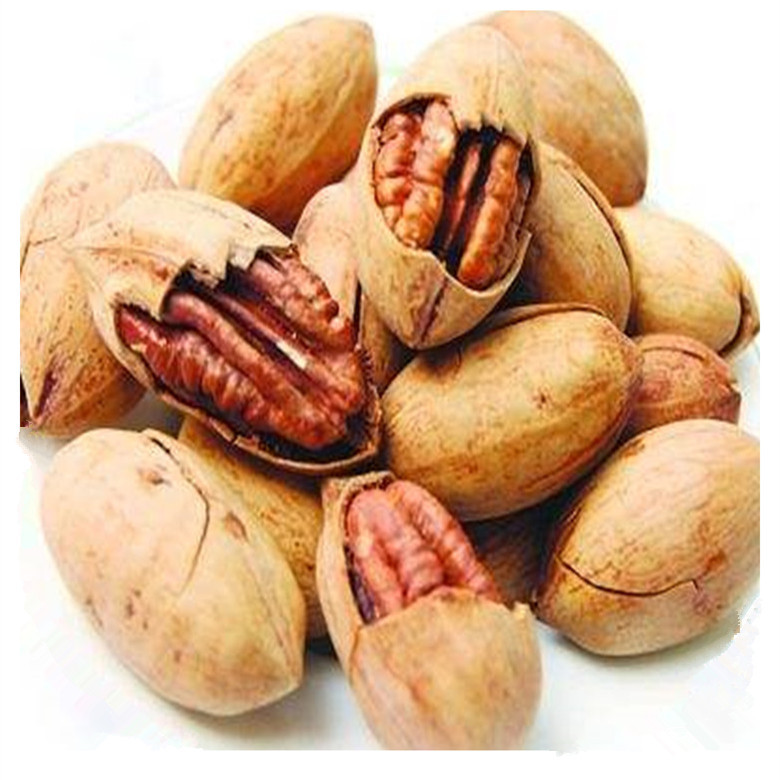[Pecan Nuts Wholesale by the Box]Large Quantity of Longevity Nuts, Pecans, Bulk Creamy Flavor, Large Kernels