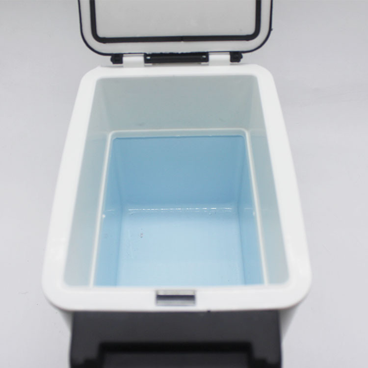 XW-600 car refrigerator car refrigerator cold and hot box car gift incubator home car dual-use