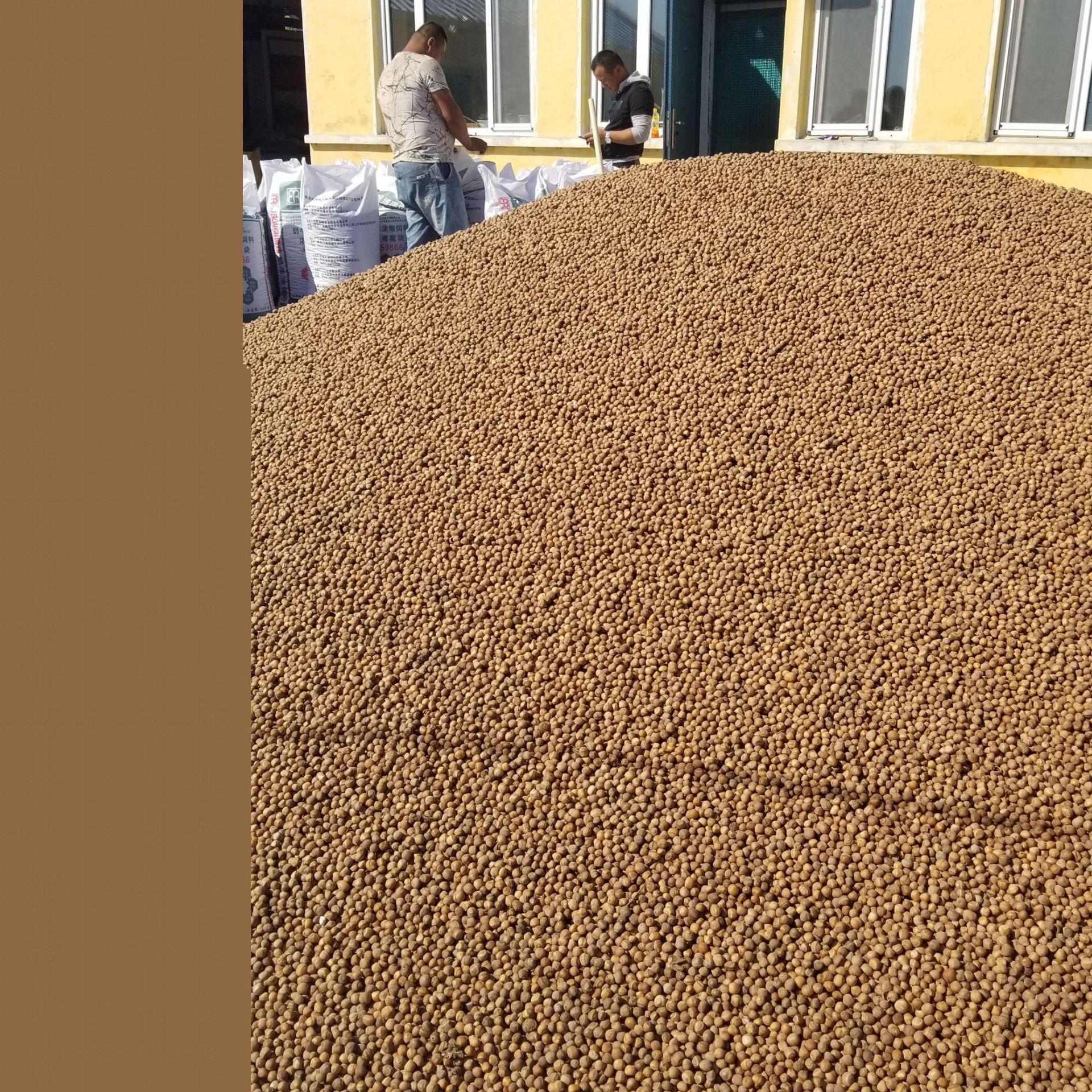 Daxinganling wild hazelnut small fire hazelnut nut nut raw hazelnut fire hazelnut 500g postage