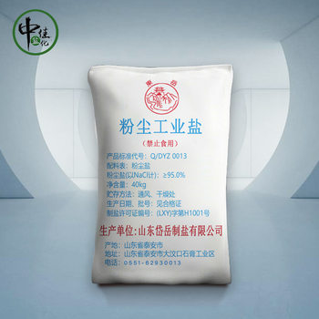 Shandong Dust Industrial Salt High Fineness High Salinity Powder Salt Surface Salt Fine Salt 3040 Mesh Refined Salt Manufacturer