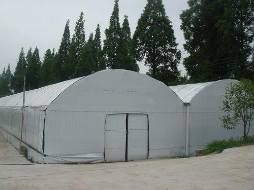 Breeding Black and White Film Thickened Greenhouse Film Film for Edible Fungi Heat Preservation Film Cooling Film