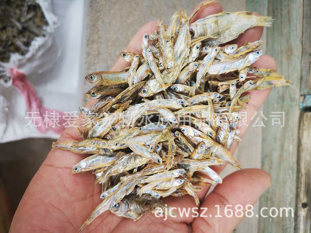 小鱼干晒干烘干乌龟巴西龟仓鼠零食饲料龟粮淡水小鱼干不咸,淘宝优惠券,粉丝福利购,淘宝优惠卷