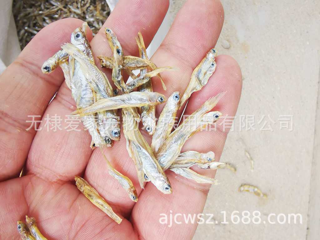 小鱼干晒干烘干乌龟巴西龟仓鼠零食饲料龟粮淡水小鱼干不咸,淘宝优惠券,粉丝福利购,淘宝优惠卷