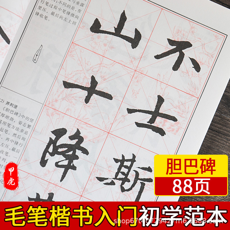 Zhao Meng's regular script introduction large copybook Chinese calligraphy introduction tutorial regular script writing brush copybook explanation