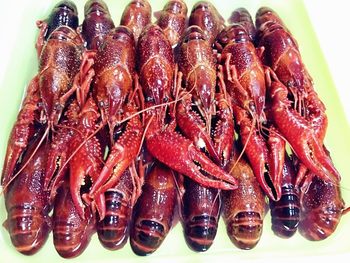 Fresh Crayfish Frozen Crayfish Freshwater Lobster 456 Yuan Frozen Crayfish Jiangsu, Zhejiang, Shanghai and Anhui 1.0kg Free Shipping
