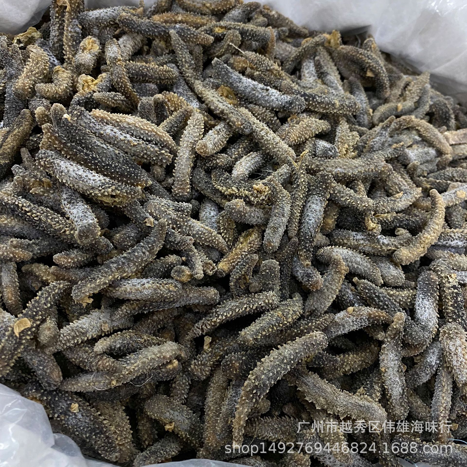 [Selected Indonesian Small Sea Cucumber] Directly Sold from the Source of Indonesian Small Sea Cucumber Indonesian Black Sea Cucumber Light Dried Sea Cucumber Dry Goods