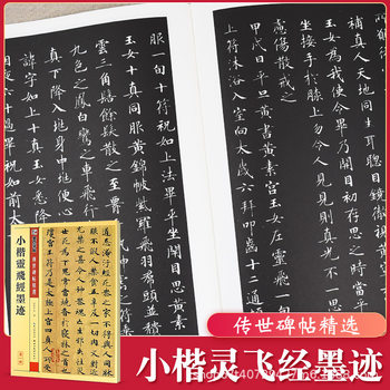 Small Regular script Lingfei Sutra ink trace handed down copybook selected beginner beginner introduction copy special copybook for college students practice copybook