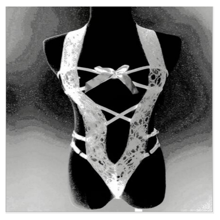 跨境专供欧美外贸情趣内衣性感女式连体开档镂空内衣厂家直销批发