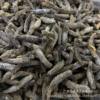 [Selected Indonesian Small Sea Cucumber] Directly Sold from the Source of Indonesian Small Sea Cucumber Indonesian Black Sea Cucumber Light Dried Sea Cucumber Dry Goods