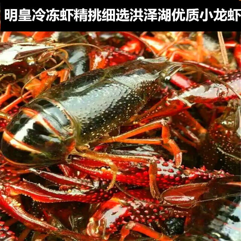 Fresh Crayfish Frozen Crayfish Freshwater Lobster 456 Yuan Frozen Crayfish Jiangsu, Zhejiang, Shanghai and Anhui 1.0kg Free Shipping