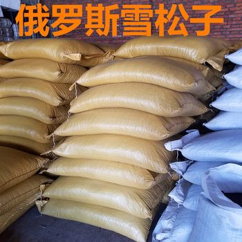 Cedar Nuts Cedar Nuts from Daxinganling Cedar Nuts Direct from the Manufacturer in Bulk