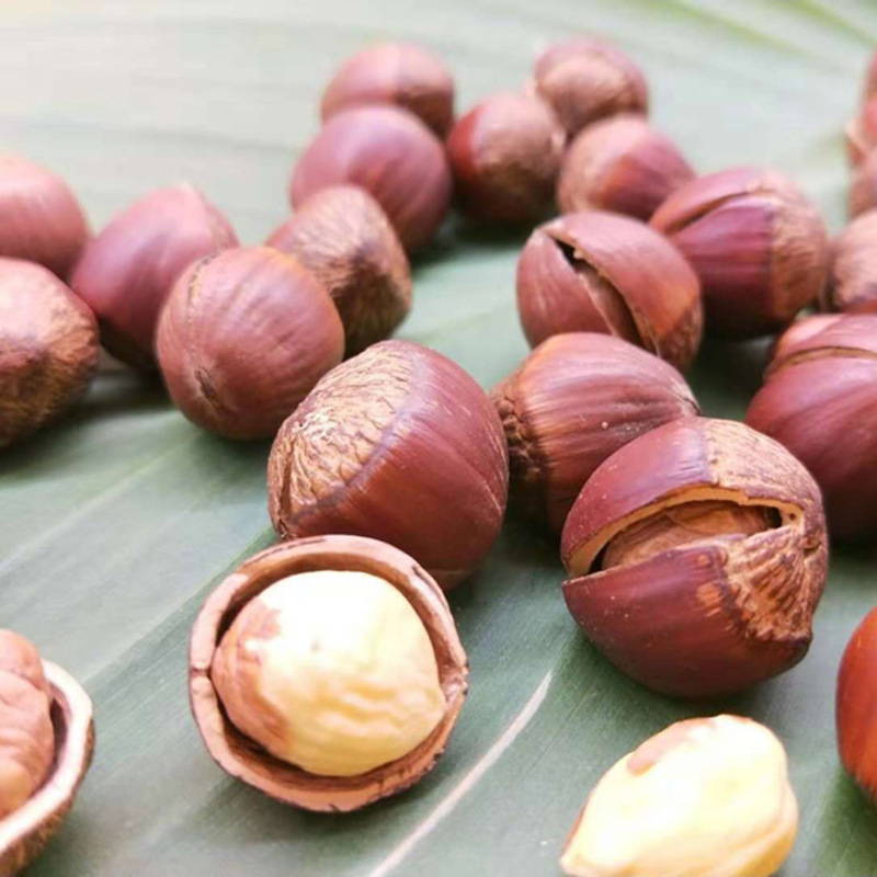 Baishi Zhen love Northeast hazelnut open cooked large new original flavor canned 220g nuts wholesale flat European Big Hazelnut