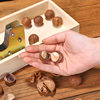 Nut opener walnut macadamia fruit opener fresh raw macadamia nut opener fruit breaking clip