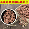 Fujian Longyan Peanuts Boiled White Sun-Dried Salted Dried Peanuts Purple Wet Roasted Red Specialty Garlic Peanuts Four Red