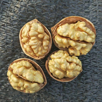 Xinjiang 185 paper walnut 5kg paper cooked walnut 2500g Aksu thin-skinned walnut new goods a generation