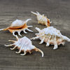 Natural Conch Shell Seven Horned Spider Scorpion Snail Platform Fish Tank Decoration Aquarium Landscape Ornaments Shooting Props