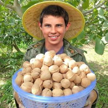 Walnut wholesale Xinjiang specialty Aksu thin peel walnut bulk dried fruit original flavor raw walnut thin peel