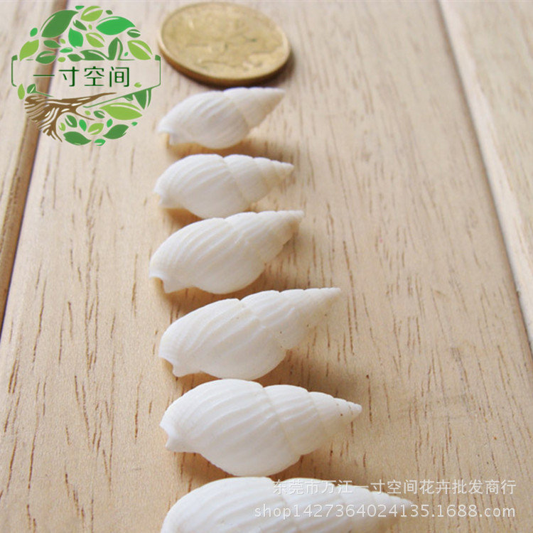 Moss micro landscape Marine landscaping natural small white conch white conch shell marine decoration ornaments