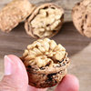 2025 Large-Fleshed Walnuts from Yangbi, Dali, Yunnan, Original Place of Origin, Large-Fleshed Thin-Skinned Dried Walnuts, 2.5kg Packs in Stock for Wholesale
