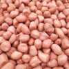 In the season, a large number of new white sand peanuts are produced by in stock farmers.