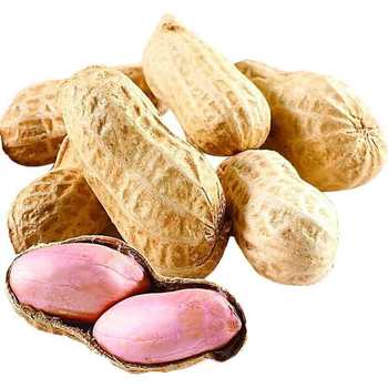 In the season, new goods with Shell, white sand peanut farm, self-planted and dried, a large number of in stock grains, one-piece delivery