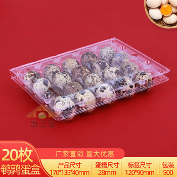 20pcs Disposable Plastic Quail Egg Tray with Buckle Packaging Box Transparent Gift Box Factory Direct Wholesale Free Shipping