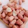 In the season, a large number of new white sand peanuts are produced by in stock farmers.