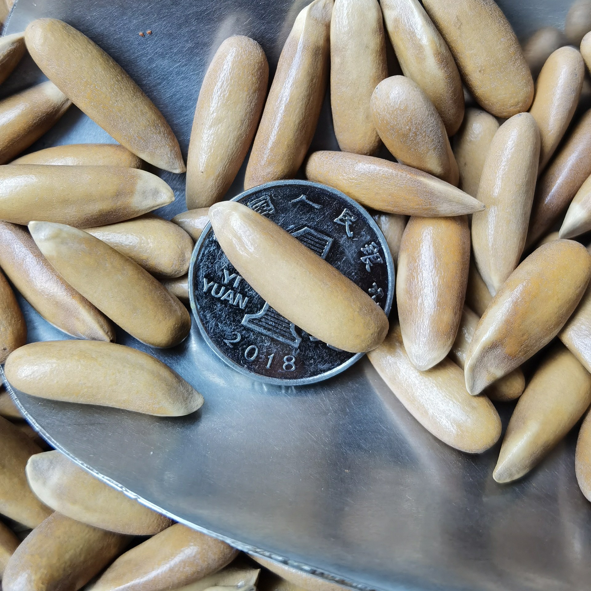 2025 New Arrival Casual Snacks Pine Nuts Gross Weight 250g Canned Large-Sized Brazilian Pine Nuts Wholesale Dropshipping