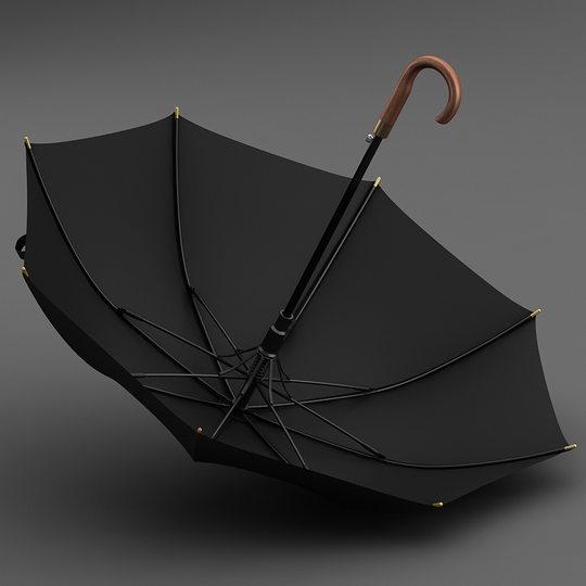 OLYCAT Oli Cat Long Handle Umbrella Wooden Curved Handle Automatic Large Double Wind-Resistant Straight Umbrella Advertising Umbrella Print Logo
