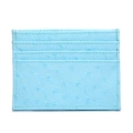 Ostrich pattern light blue