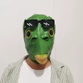 Green fish headgear + sunglasses