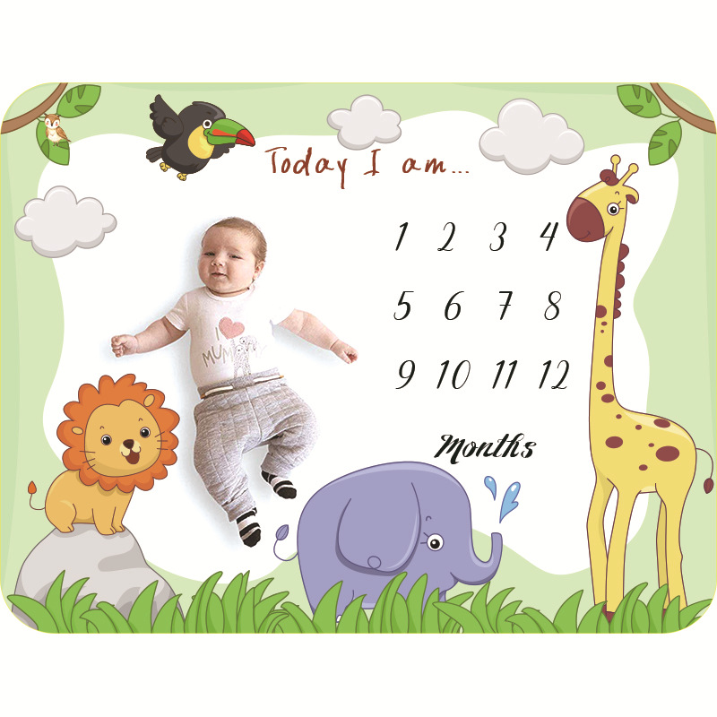 Factory New Baby Photography Blanket Baby Photography Milestone Newborn Photography Background Cloth Props Blanket