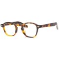 Tortoiseshell