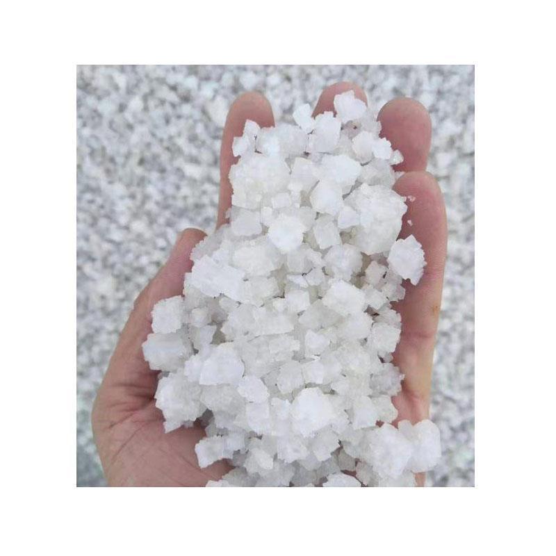 Solar Salt Large Capsules Salt Industrial Grade Salt Solar Sea Crystal Salt Large Capsules Salt for Water Treatment Boilers