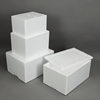 Spot Insulated Foam Box Wholesale Crayfish Hairy Crab Meat Refrigerated Custom Insulated Foam Packaging Box Non-Standard