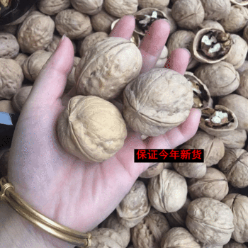 Xinjiang Thin-skinned Walnut Aksu Original Raw Walnut Porridge Soup New Year 2024 New Thin-skinned Walnut