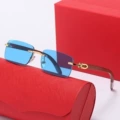 C5 gold frame orchid