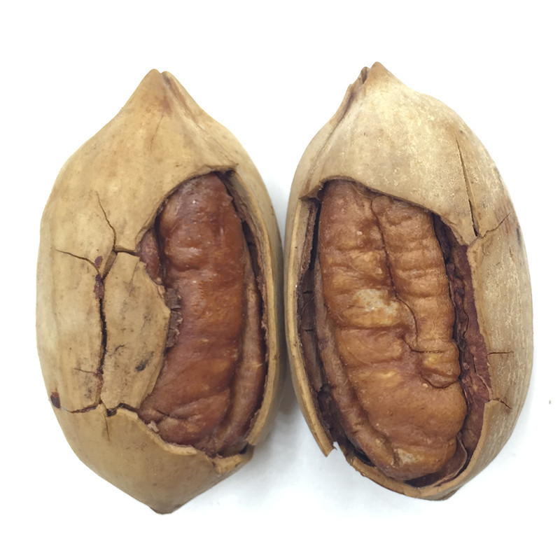 [Jinhongtai] nuts direct sales bigenguo/cream flavor can 250g net content 150g canned